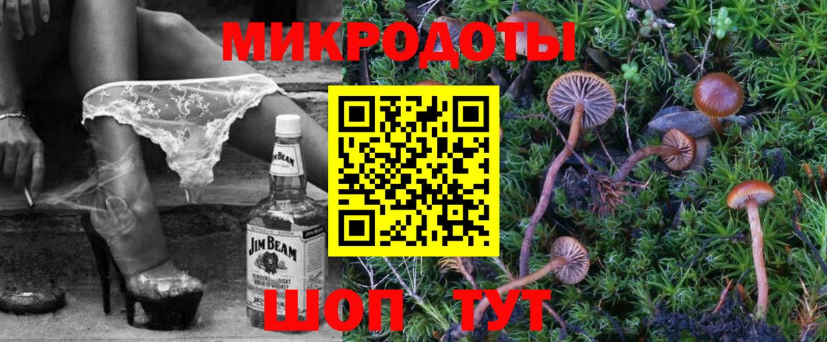 Псилоцибиновые грибы Psilocybine cubensis  Вход с VPN  Алатырь  Галлюциногенные грибы Cubensis 